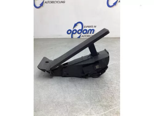 Gaspedaalpositie Sensor-8047798 (18966200)