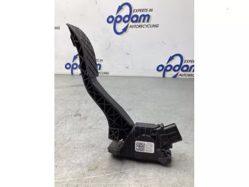 Gaspedaalpositie Sensor-8029563 (20282339)