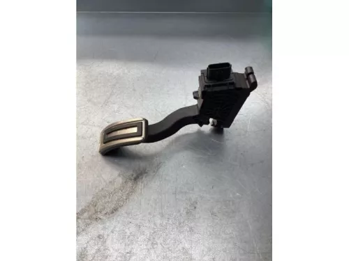 Gaspedaalpositie Sensor-7868537 (17316624)