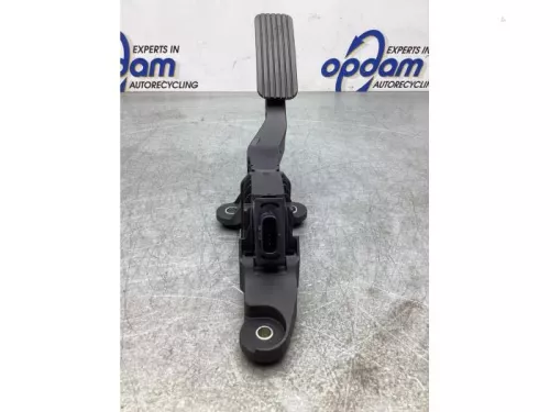Gaspedaalpositie Sensor-7940559 (18602677)