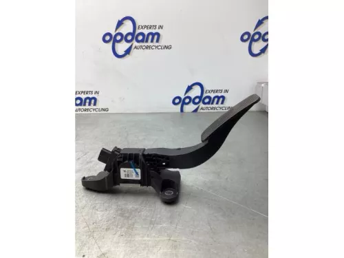 Gaspedaalpositie Sensor-7934572 (18717028)