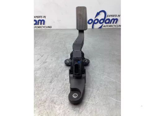 Gaspedaalpositie Sensor-7934572 (18717028)