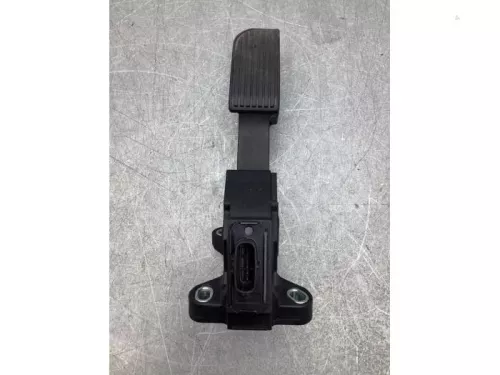Gaspedaalpositie Sensor-8051391 (19165880)