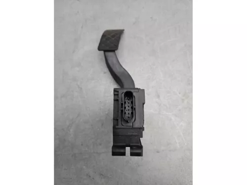 Gaspedaalpositie Sensor-8252642 (21865446)