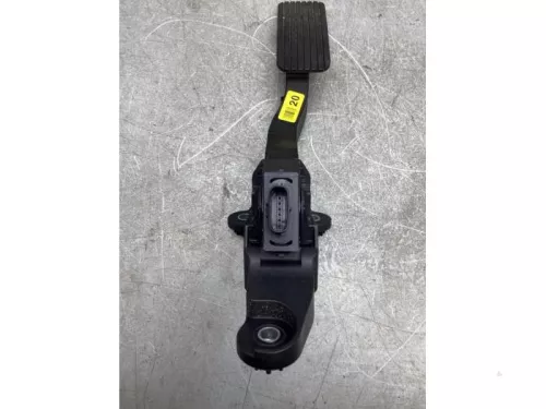 Gaspedaalpositie Sensor-8052644 (20214267)