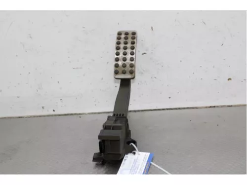 Gaspedaalpositie Sensor-7879172