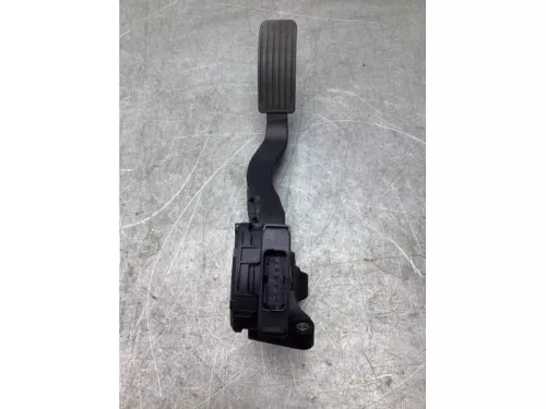 Gaspedaalpositie Sensor-8028933 (19615421)