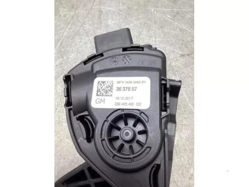 Gaspedaalpositie Sensor-8028933 (19615421)