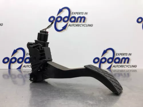 Gaspedaalpositie Sensor-6921457 (20766279)
