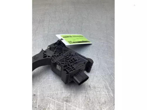 Gaspedaalpositie Sensor-8300843 (22618643)