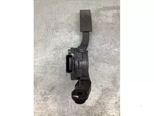 Gaspedaalpositie Sensor-8126860 (21395055)