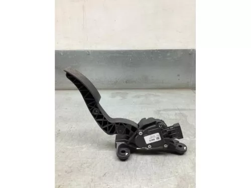 Gaspedaalpositie Sensor-8126860 (21395055)
