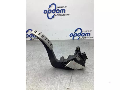 Gaspedaalpositie Sensor-8033487 (21046534)