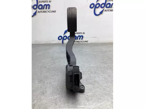 Gaspedaalpositie Sensor-8079698 (19465476)