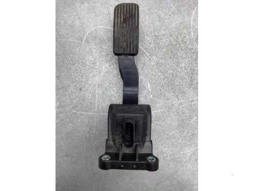 Gaspedaalpositie Sensor-8139105 (20321691)
