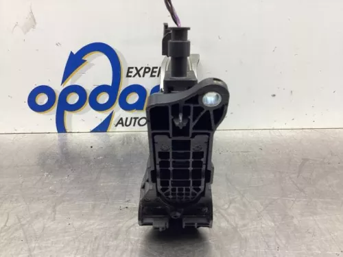 Gaspedaalpositie Sensor-7745048 (19016671)