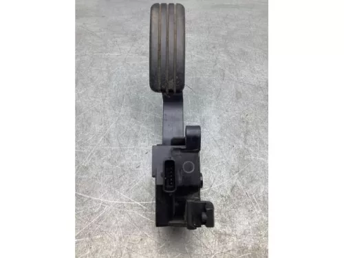 Gaspedaalpositie Sensor-7921008 (17700521)