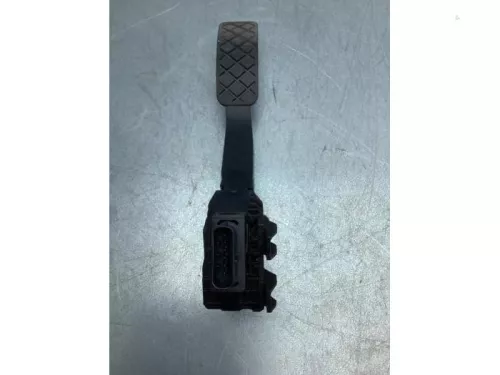 Gaspedaalpositie Sensor-7472532 (17047127)