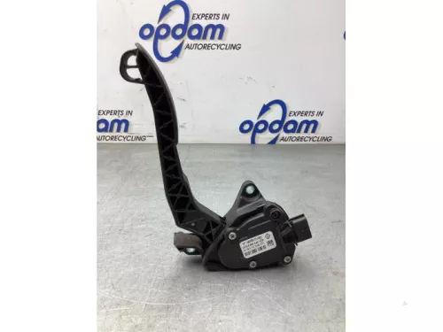 Gaspedaalpositie Sensor-8166260