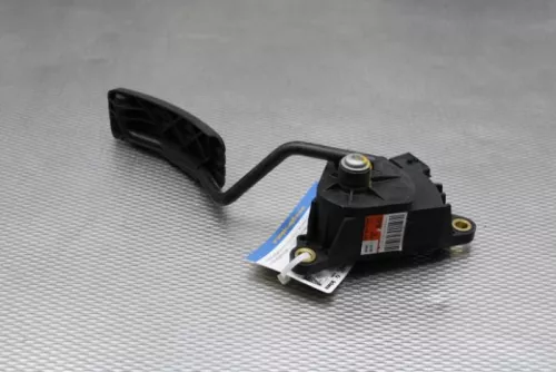 Gaspedaalpositie Sensor-7619378 (16319270)