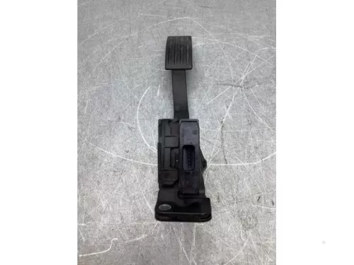 Gaspedaalpositie Sensor-8082797 (19705150)