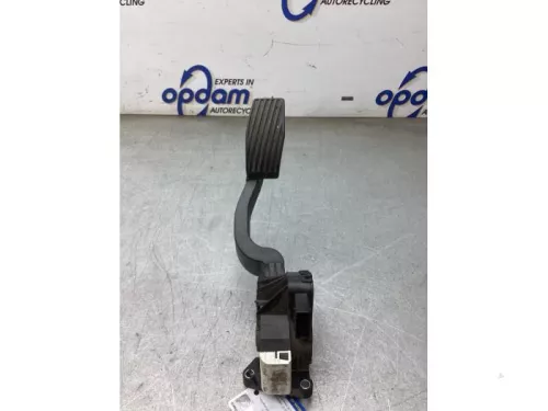 Gaspedaalpositie Sensor-8220600 (22498289)