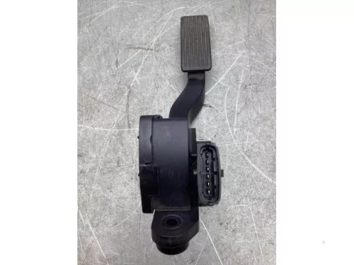 Gaspedaalpositie Sensor-7940688 (19647324)