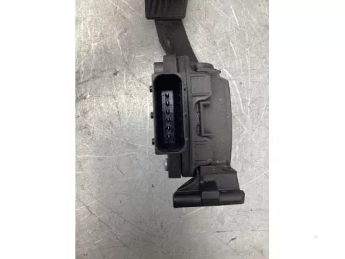 Gaspedaalpositie Sensor-8122282 (21062661)