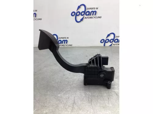 Gaspedaalpositie Sensor-8024852 (18868192)