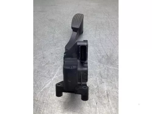 Gaspedaalpositie Sensor-8024852 (18868192)