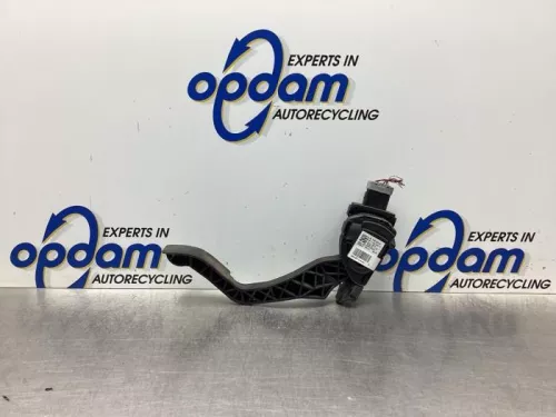 Gaspedaalpositie Sensor-7975208 (18019927)