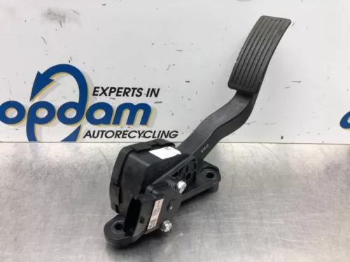 Gaspedaalpositie Sensor-6446125 (16738383)