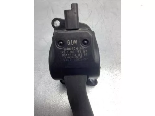 Gaspedaalpositie Sensor-7713281 (16937847)