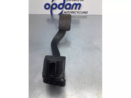 Gaspedaalpositie Sensor-7713281 (16937847)