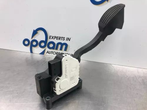 Gaspedaalpositie Sensor-7364359 (17570657)