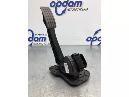 Gaspedaalpositie Sensor-7844984 (17171032)