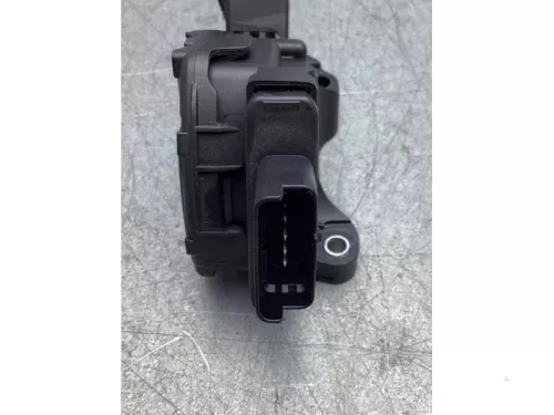 Gaspedaalpositie Sensor-7473370 (17568789)
