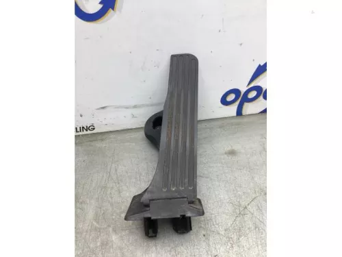 Gaspedaalpositie Sensor-8230416 (21963876)