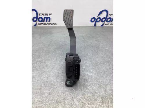 Gaspedaalpositie Sensor-7975879 (18724013)
