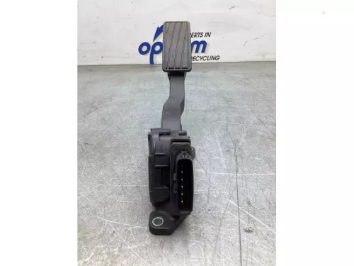 Gaspedaalpositie Sensor-8127472 (20166357)