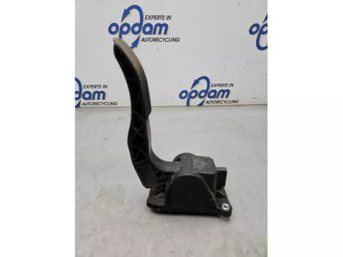 Gaspedaalpositie Sensor-8173331 (21877702)