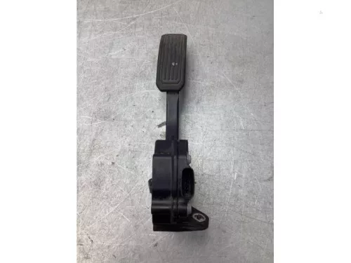 Gaspedaalpositie Sensor-7924816 (19507357)