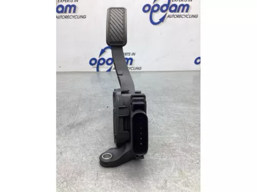 Gaspedaalpositie Sensor-7860481 (18494789)