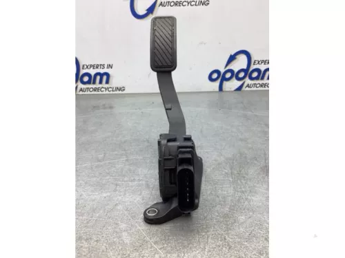Gaspedaalpositie Sensor-7860940 (18566638)