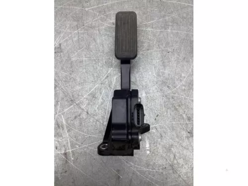 Gaspedaalpositie Sensor-7861671 (20209897)