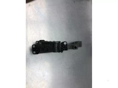 Gaspedaalpositie Sensor-7841097 (17453045)