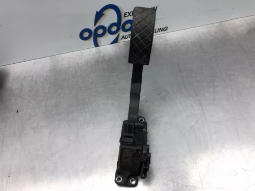 Gaspedaalpositie Sensor-7841097