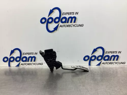 Gaspedaalpositie Sensor-7913315 (17769753)