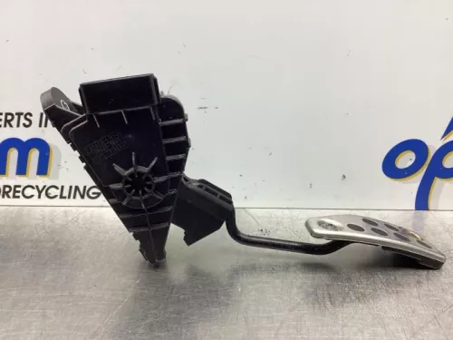 Gaspedaalpositie Sensor-7913315 (17769753)