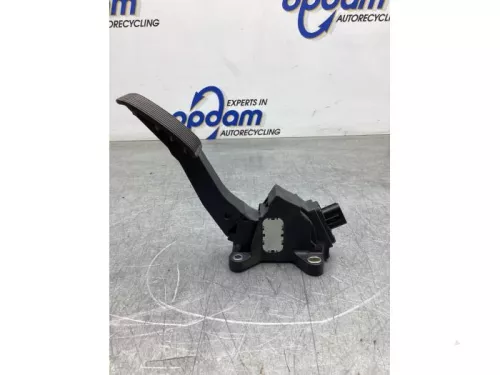 Gaspedaalpositie Sensor-8071014 (19393369)